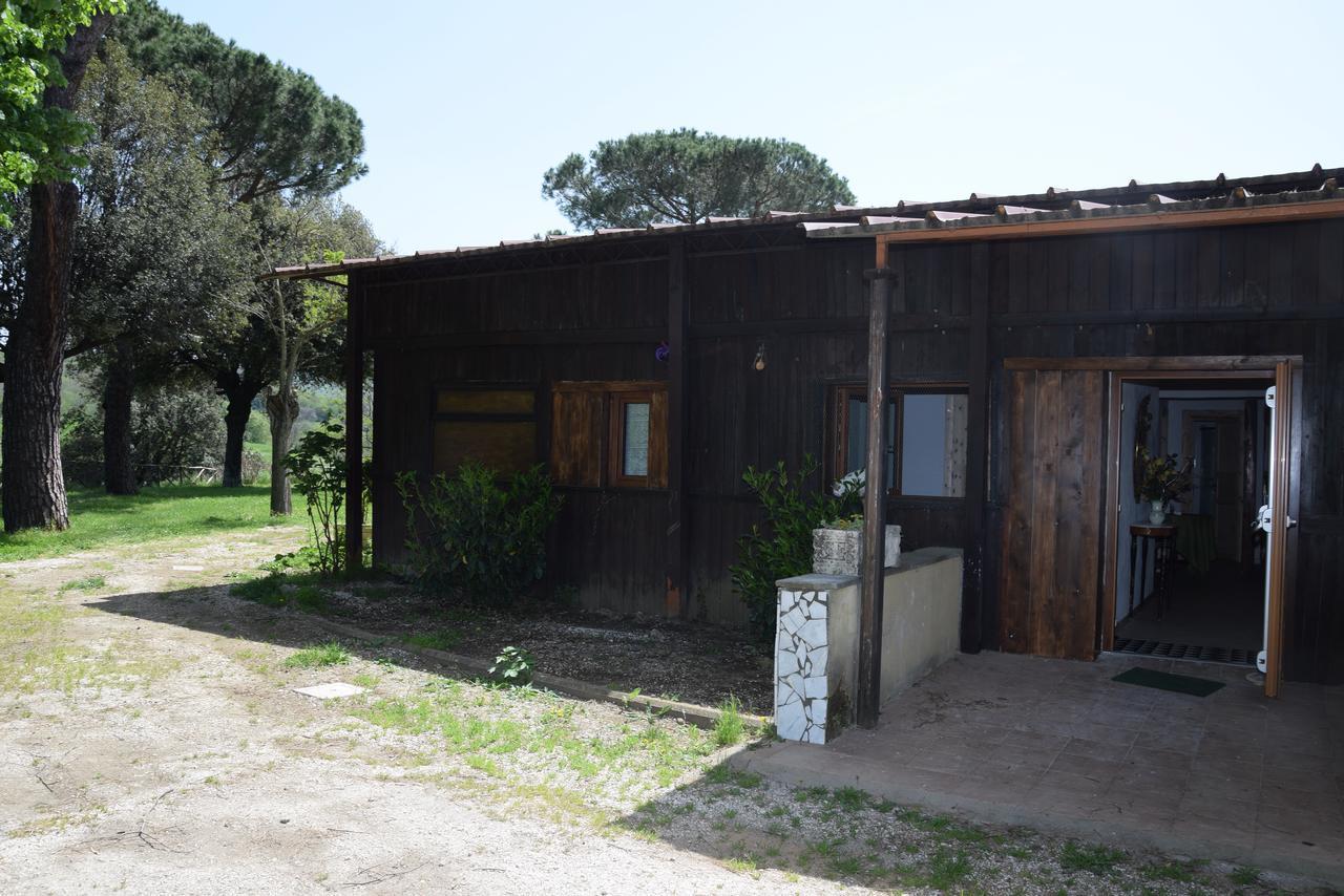 格鲁塔佛力塔 Borgo Della Molara酒店 外观 照片