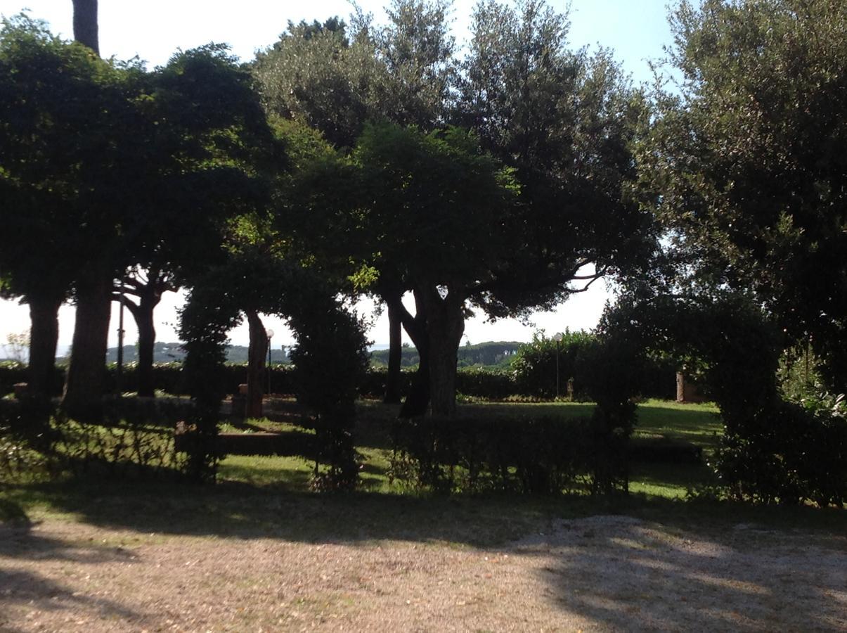 格鲁塔佛力塔 Borgo Della Molara酒店 外观 照片